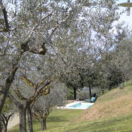 토르지아노 Il Poggio Delle Ginestre 게스트하우스 외부 사진